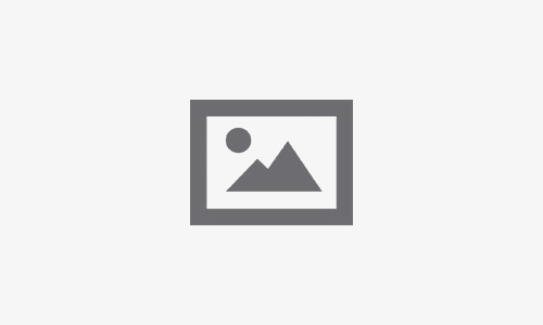 Why Is My WordPress Site So Slow?