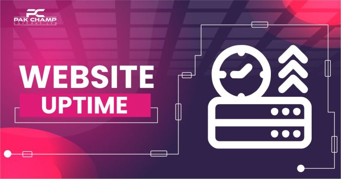 website uptime