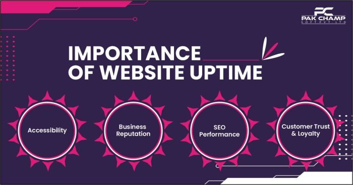 Importance of Website Uptime