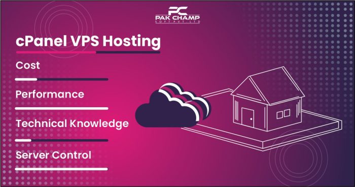 cPanel VPS Server Hosting