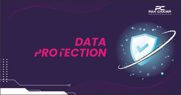 What is Data Protection?