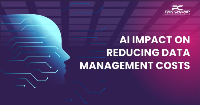 AI Impact on Reducing Data Management Costs