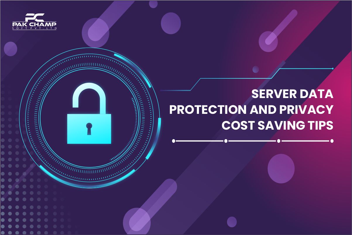 Server Data Protection and Privacy – Cost Saving Tips | Pakchamp