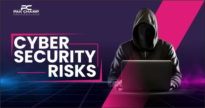 Cyber Security Risks