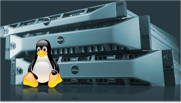 What Is Linux Hosting And Uses?