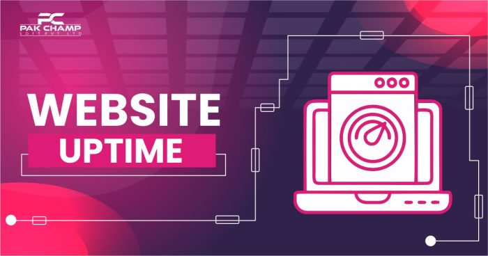 website uptime