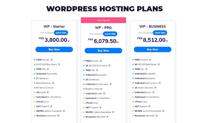  WordPress Hosting Plan