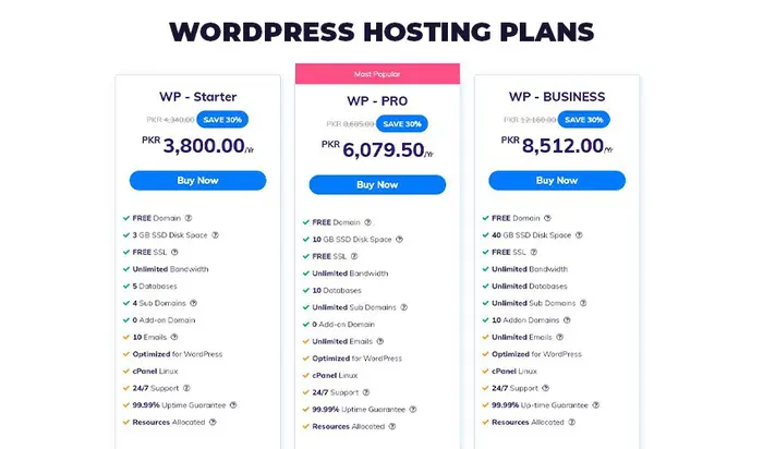 WordPress Hosting Plan