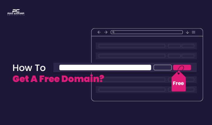 How To Get A Free Domain?