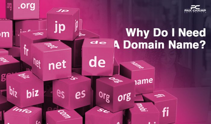 Why Do I Need A Domain Name?